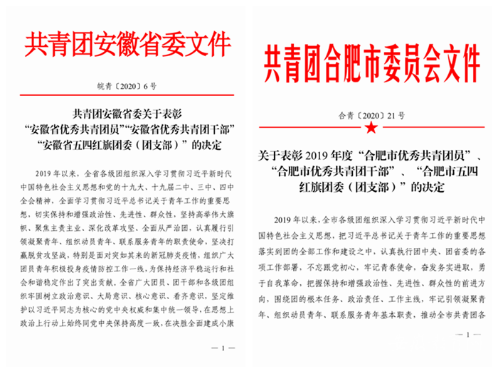合肥職業技術學院多名師生、集體受共青團合肥省市委表彰(圖1)