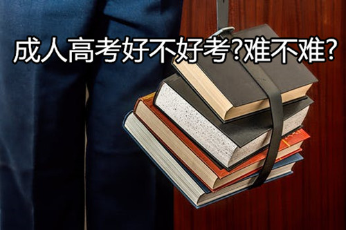 專升本成人高考的報名、學習內容、區別等